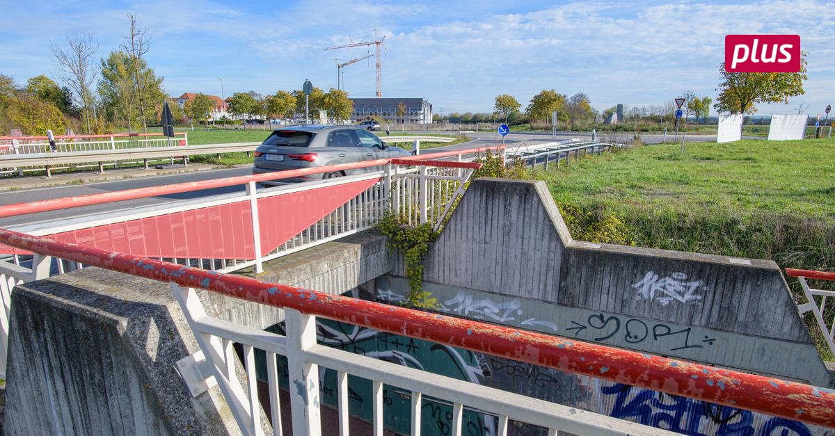 Klagt Riedstadt Gegen Ortsumgehung Dornheim?